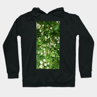 Wild Flowers Hoodie